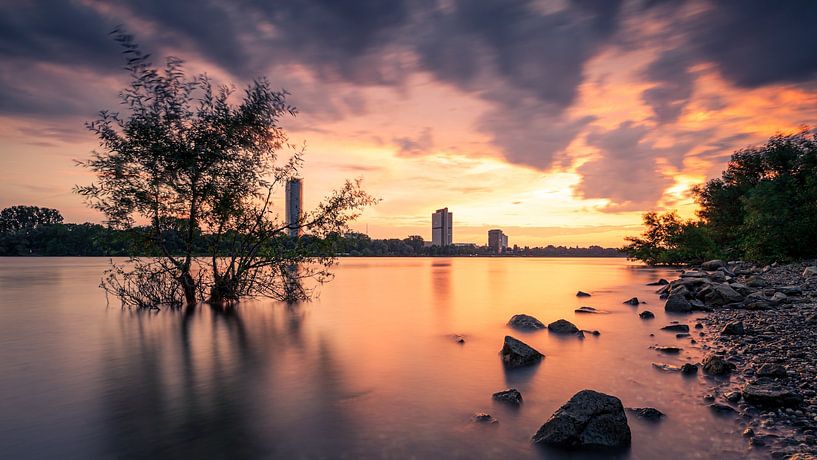 Bonn von Jens Unglaube