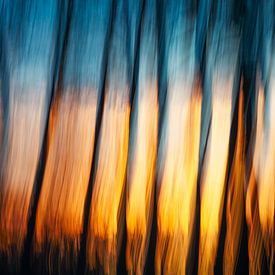 Les témoins silencieux de la lumière (9 sur 10) sur Linda Hutten