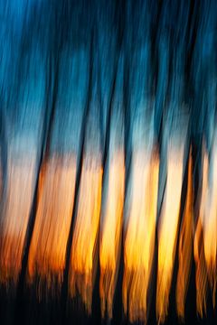 The silent witnesses of light (9 of 10) by Linda Hutten