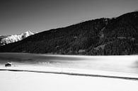 Sea of Fog by Daniel Imboden thumbnail