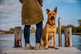 Banjer von Joy Droogsma