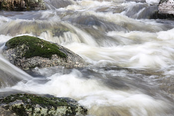 rivière sauvage