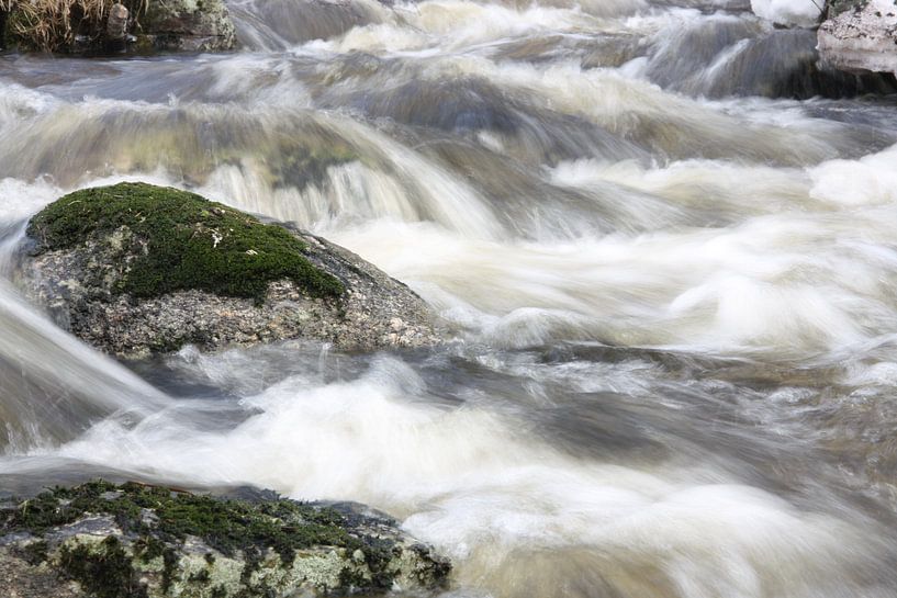 wilder Fluss von Kim van der Lee