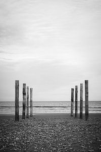 Poteaux de bois dans le sable, Schiermonnikoog sur Luis Boullosa