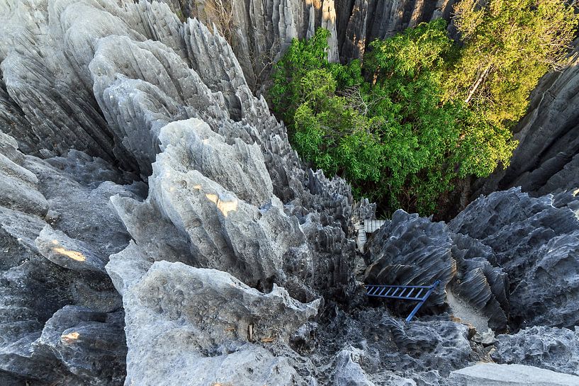 Tsingy Vertigo von Dennis van de Water