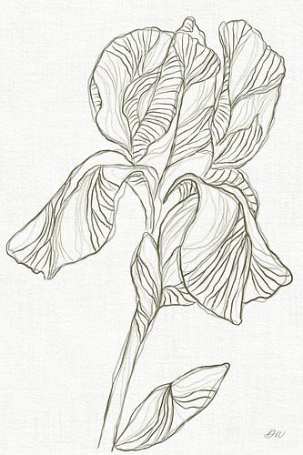 Iris van Dianne Wakker