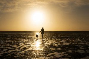 Zonsondergang Harlingen, vrouw met hond