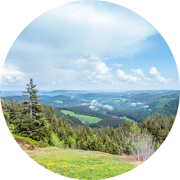 Panoramisch uitzicht over het Zwarte Woud van Animaflora PicsStock