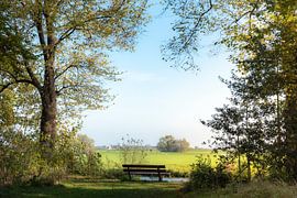 Hollands Landschap van Jeanette van Starkenburg