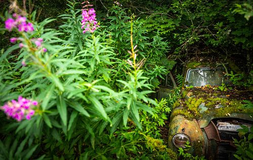 Bastnas Autofriedhof in Schweden