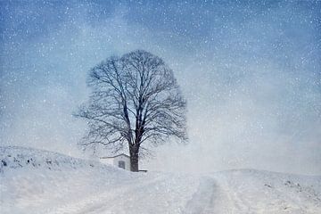 Winterlicht von Maria Ismanah Schulze-Vorberg