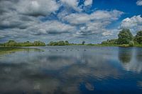 Landschapsfoto natuurontwikkeling Millingerwaard 