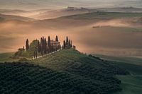 Country house in Tuscany - Podere Belvedere, Italy
