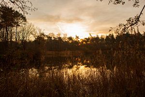 Sonnenaufgang