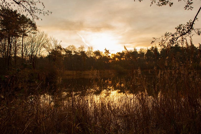 sunrise by Special Moments MvL