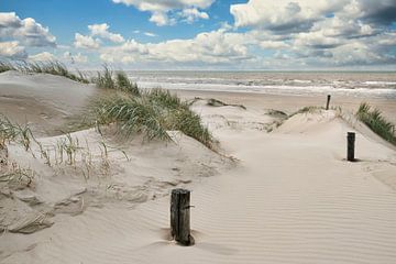 Noordzee met de Nederlandse duinen van eric van der eijk