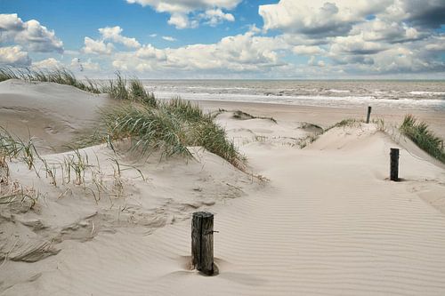 Nordsee mit den niederländischen Dünen