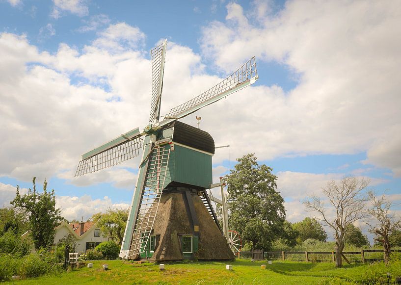 Holländische Windmühle von Anita van Gendt