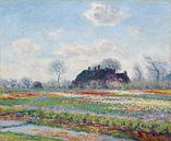 Tulpenvelden van Claude Monet in Sassenheim (1886) van Frank Zuidam thumbnail