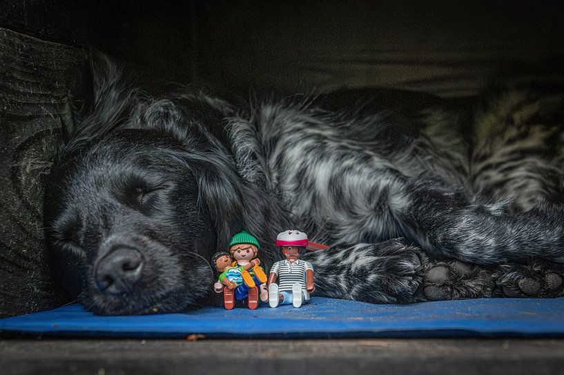 Safe with the dog by Bas Schneider