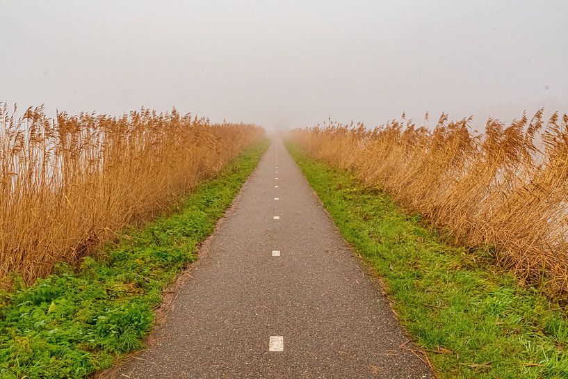 Bike path in the fog by Merijn Loch