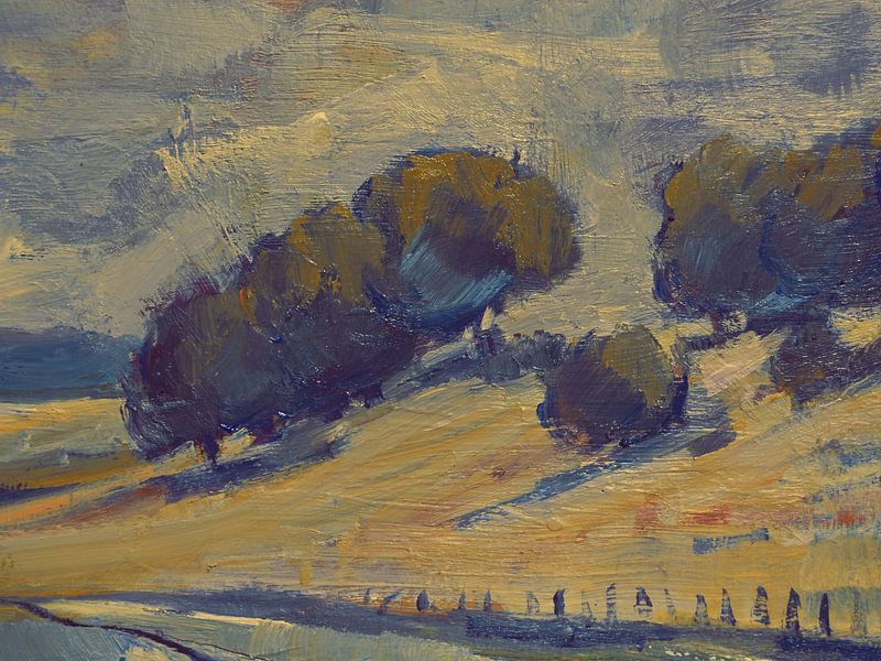 Trees in the hill country by Nop Briex