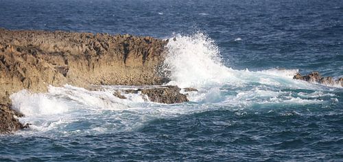 zee oostkust Bonaire