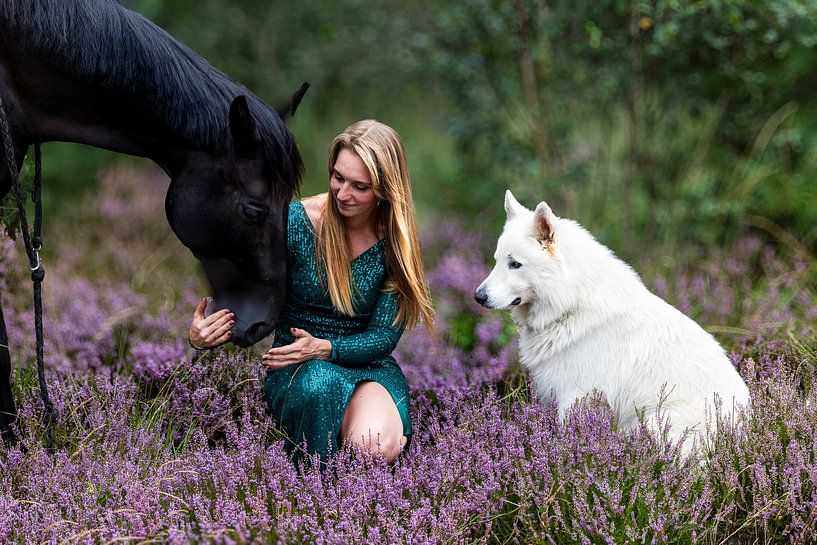 Femme avec cheval noir et berger blanc dans une lande violette - Photographie de nature intime par Jolanda Hugens Kommers