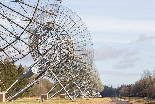 Large array radio telescope