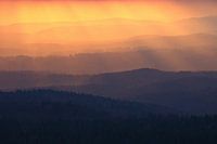 Evening atmosphere at the Lusen