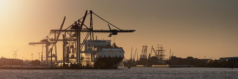 Containerterminal im Hafen von Hamburg bei Sonnenuntergang von Jonas Weinitschke