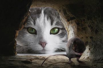 Tom and Jerry by Markus Bieck