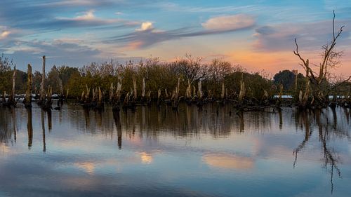 Nationaal Park De Alde Feanen bij Earnewald (Eernewoude)