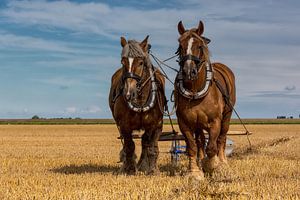 Ploegen met twee PK by Bram van Broekhoven