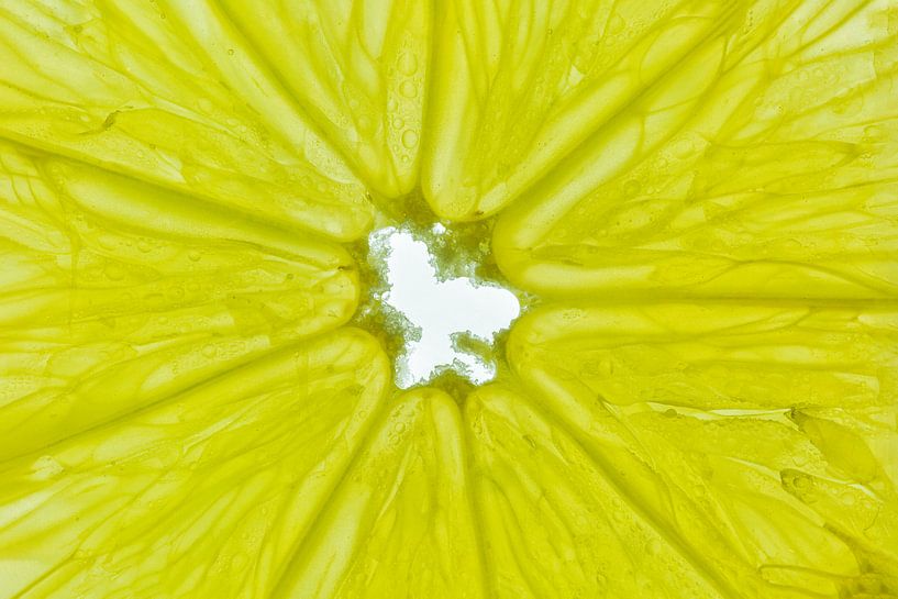Gros plan d'une tranche de citron sur fond blanc. par Carola Schellekens