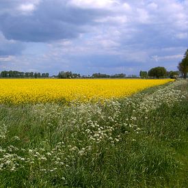 Polderlandschap von Debora van Tilborg