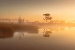Ein schöner Morgen an einem Drents-Teich