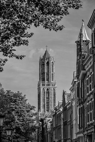 De Dom van Utrecht met op de voorgrond panden aan de Oudegracht