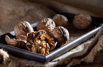walnut by Alex Neumayer