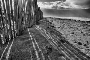 Shadow and Light
