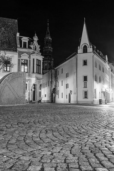 Altstadtstraße in Zwickau bei Nacht Schwarz-Weiß-Fotografie vertikal von Animaflora PicsStock