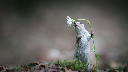 Genießen Sie den Tag!