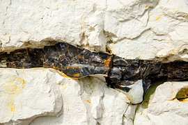 Feuerstein in einer Kalksteinfelswand in Sussex, England