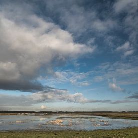 Polder Arkemheen sur Bart Uijterlinde