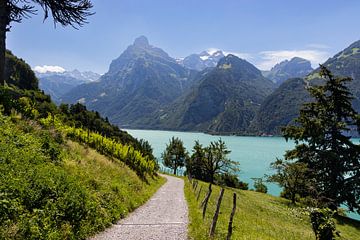 Pad naar de prachtige Urnersee, Zwitserland van Imladris Images
