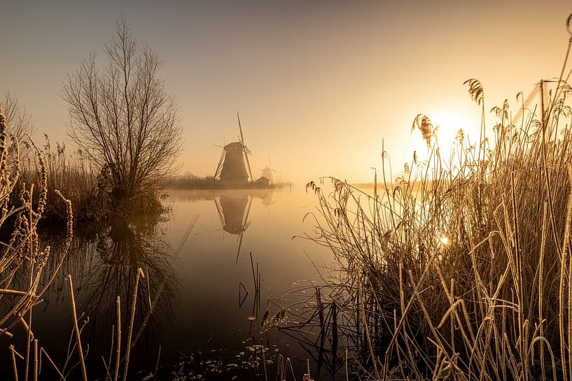 Kinderdijk by Michael Brand