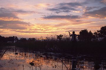 Okavango Delta van Richard Wareham