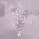 Nuvole di Prato. Abstract Botanisch Minimalistisch in Zilver Mauve retro paars roze van Dina Dankers thumbnail