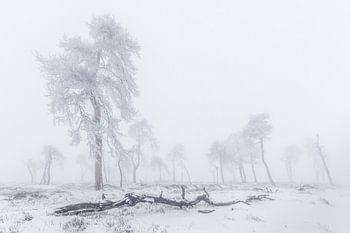 Belgische Ardennen in de winter