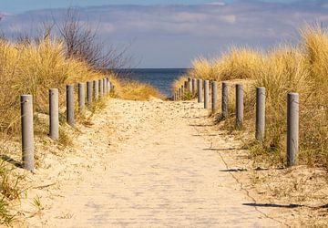 Beach path on the Baltic Sea on Usedom by Animaflora PicsStock